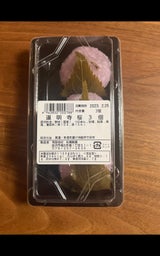 松尾 道明寺桜 4個