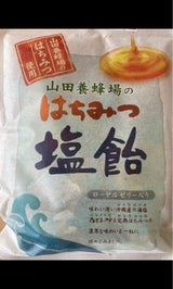 山田養蜂 はちみつ塩飴         80g
