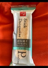 井桁堂 STダックワ-スプラリネ