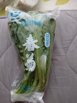 JA山口 しゅんぎく 1P