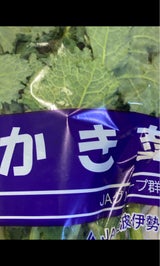 JA群馬 つみ菜 300g