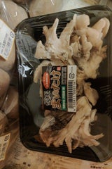 渋田 まいたけ 1P