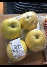 タンダイP 王林りんご袋