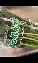 JP ほうれんそう袋 1P