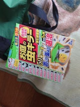 カダン お庭の虫キラー 誘引捕獲器 2P