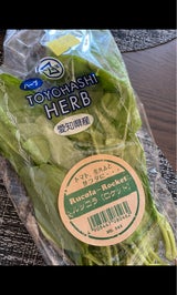 豊橋温室 ルッコラ 10g