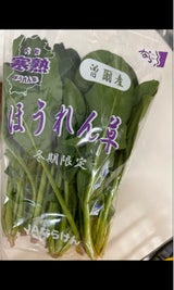 牧 ほうれんそう奈良産 1P