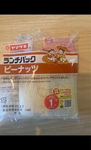 使用している写真