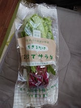 太洋 アグリセゾンの菜の四季 1P