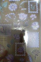 マインド オシバナシール 81452