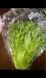 バイテック 鹿児島県産グリーンリーフ 200g