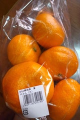 ダイプラ みかんネット