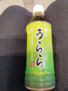 北海道キヨスク　緑茶うらら　ペット　５００ｍｌのレビュー画像