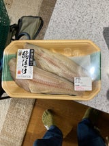 三波 塩ほっけ 2枚