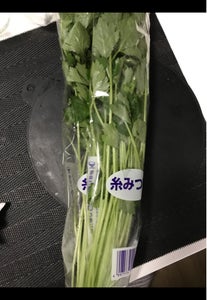 池田 糸みつばのレビュー画像