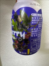 ヤスダヨーグルト 果肉入りブルーベリー 150g
