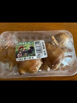 菱川農場 つちつきしょうが 100g