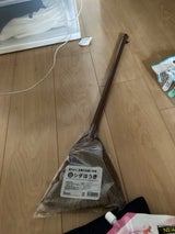 オクダ シダほうき 1P