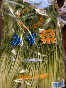 JAあいち みずな 1Pのレビュー画像