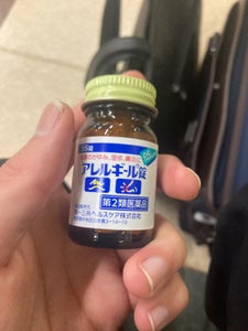 アレルギール錠 55錠の商品写真