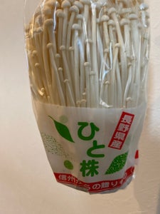 飯山中央 えのき 1株のレビュー画像