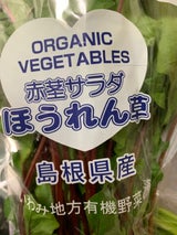 いわみ 赤茎サラダほうれん草 1P