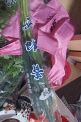 滋賀有機NW 青ねぎ 1P