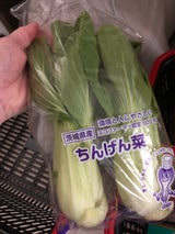 長島漬物 チンゲン菜