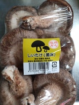 クレセント 菌床 生しいたけ A6 6個