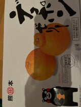 マルミツサンヨー デコポンゼリー 6個