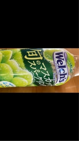 ウェルチ ウェルチ旬のマスカットSP 450ml