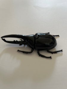 リアル甲虫フィギュアのレビュー画像