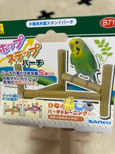 三晃 小鳥のホップステップ パーチ B71 1個のレビュー画像