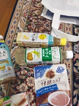 伊藤園 ニッポンエール愛媛県産キウイ 500g