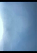 PIZZAREVO 極 マルゲリータ