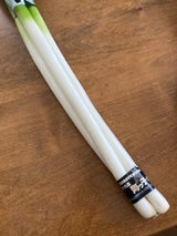 JA山武 九十九里海っ子ネギ 1P