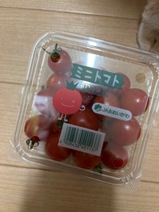 ＪＡ大井川　ミニトマト　２００ｇの商品写真