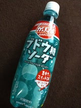 がぶ飲みブドウ糖ソーダ PET 500ml