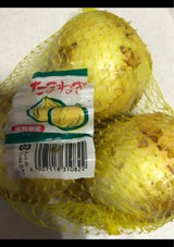 大日本プラスチック 佐賀県産たまねぎ