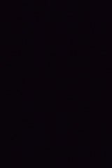 チェリオ ライフガードプロスタッフペット600ml