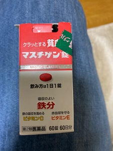 マスチゲン錠 60錠の商品写真