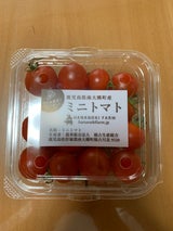 占生 ミニとまと 200g