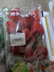 商品写真