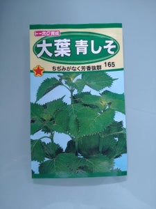 商品イメージ