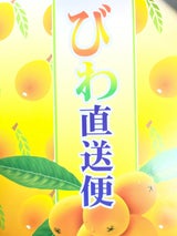 安田 びわ直送便 12個