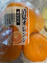 ヨドヤ 和歌山県産清美オレンジ袋 1P