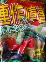 大和 連作障害が気になる土に 2kg