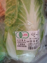 さんぶ 有機ミニ白菜 1P
