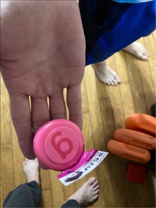 商品写真