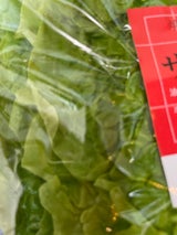 ホッタ サンチュ 1P